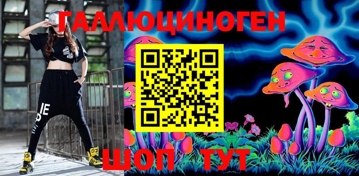 Дубна  где найти   Вход с VPN  Псилоцибиновые грибы Psilocybine cubensis 