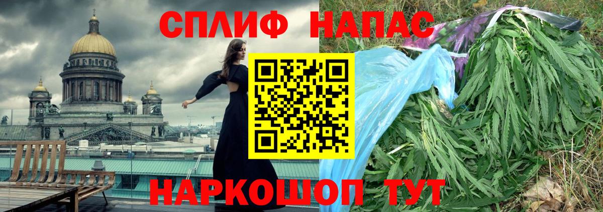 Конопля SATIVA & INDICA Дубна