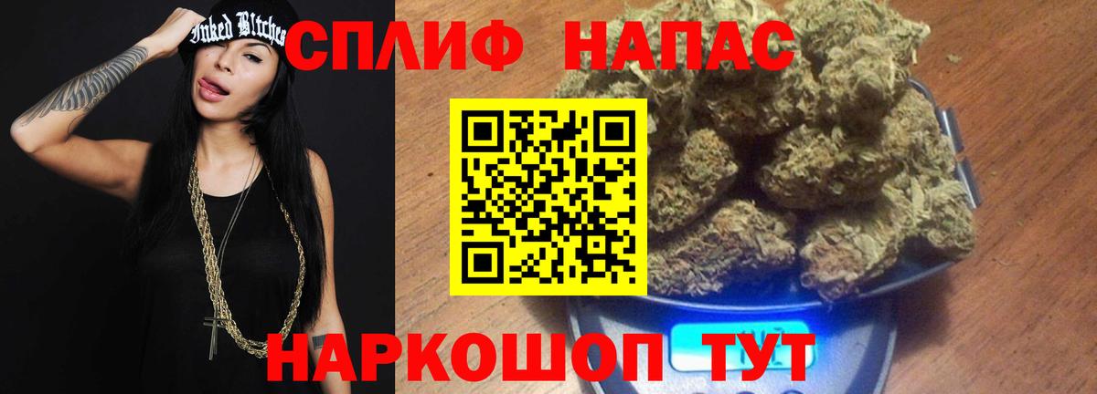ГАШ Дубна